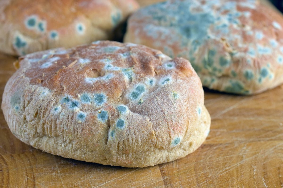 Oops! Did You Eat Moldy Bread? Discover Its Hidden Impact!