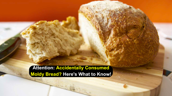 Oops! Did You Eat Moldy Bread? Discover Its Hidden Impact!